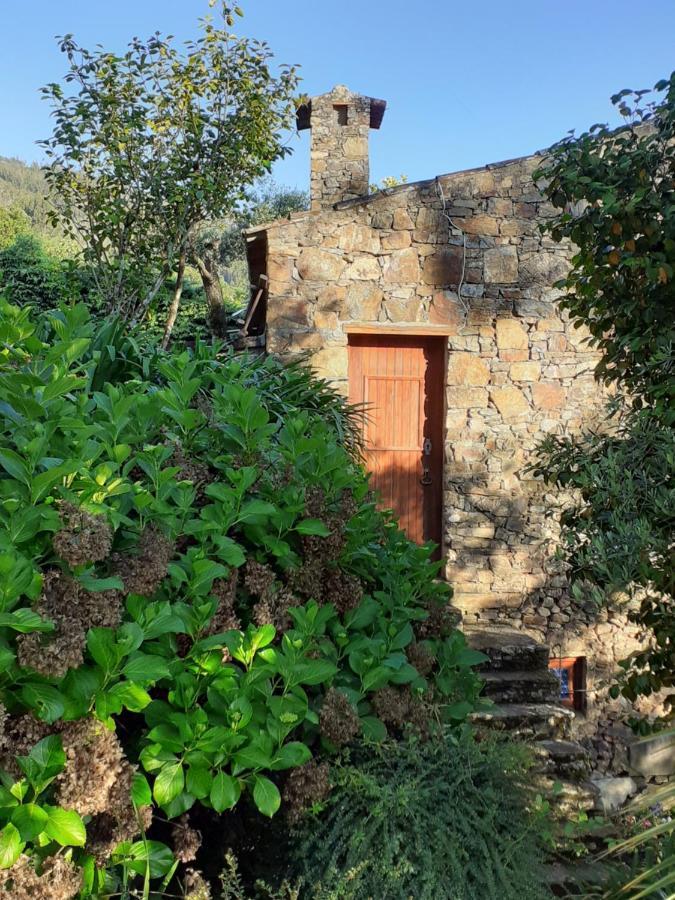 Вилла Casa Do Tojo E Rosmaninho Феррейра-ду-Зезери Экстерьер фото