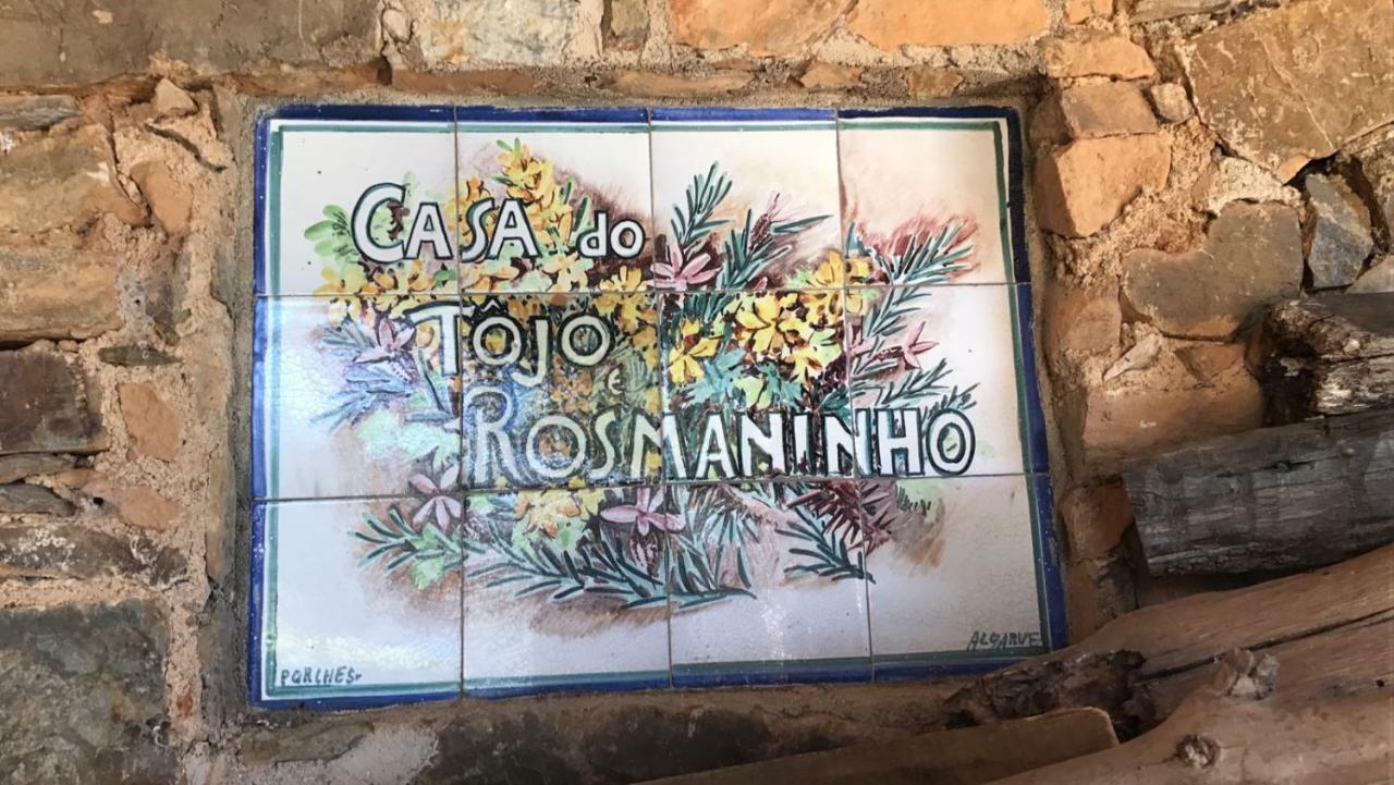 Вилла Casa Do Tojo E Rosmaninho Феррейра-ду-Зезери Экстерьер фото